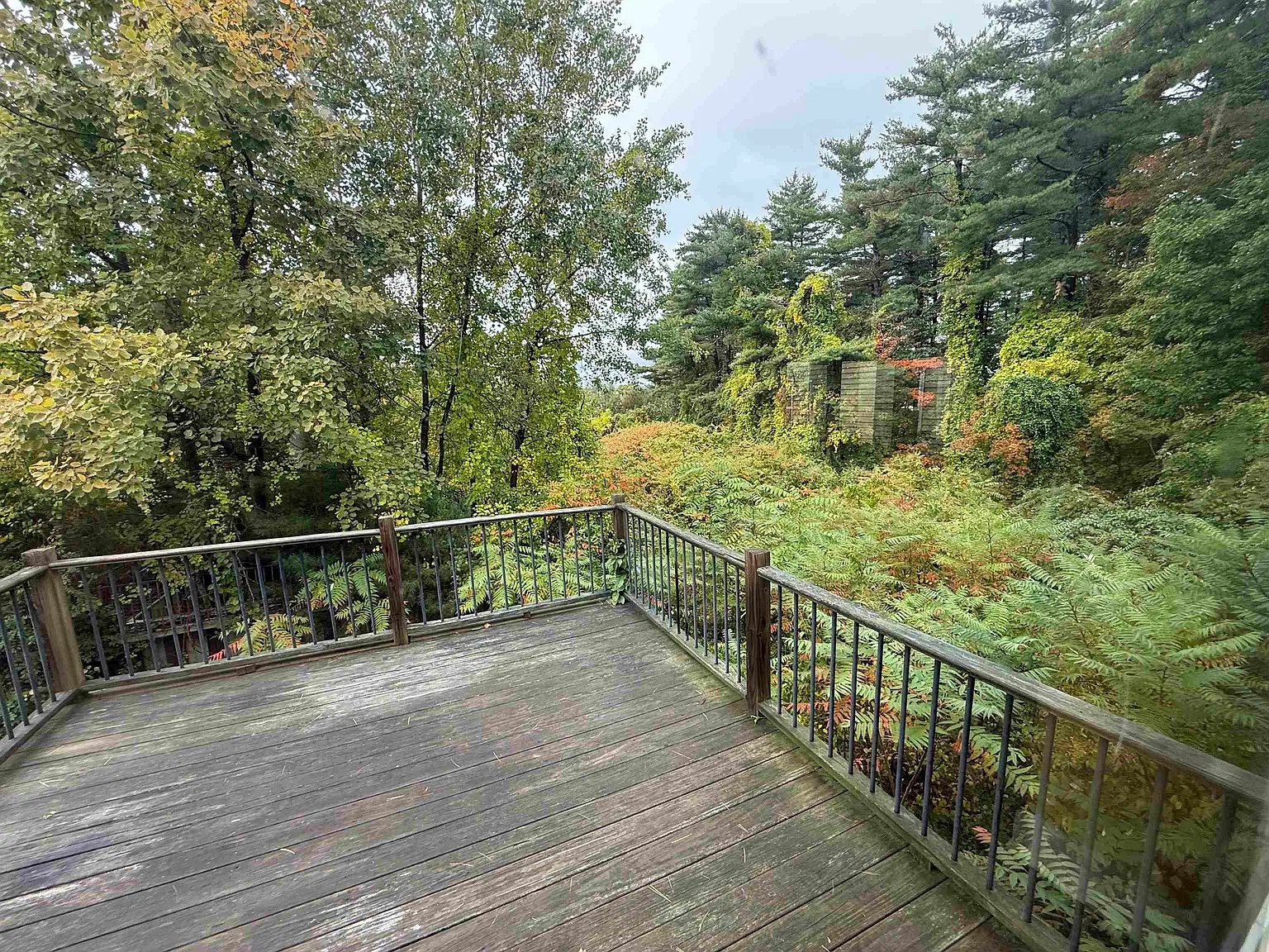 3 bed, 1.0 bath, 1000 sqft, $2,900 — Photo 2