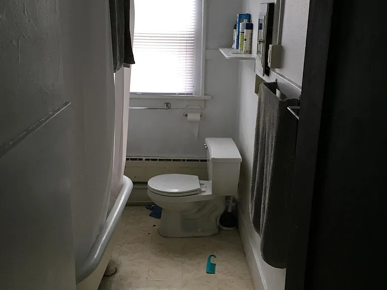 407 Bowery St #4 — Photo 8