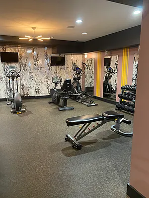 Rented by Chana Ofek, LREB | media 39