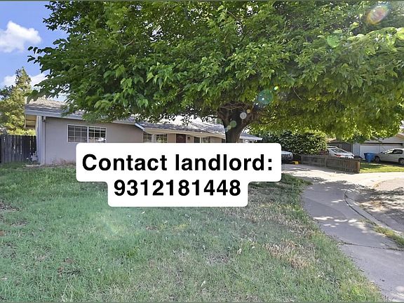 3rd image of 1117 Hall Ct