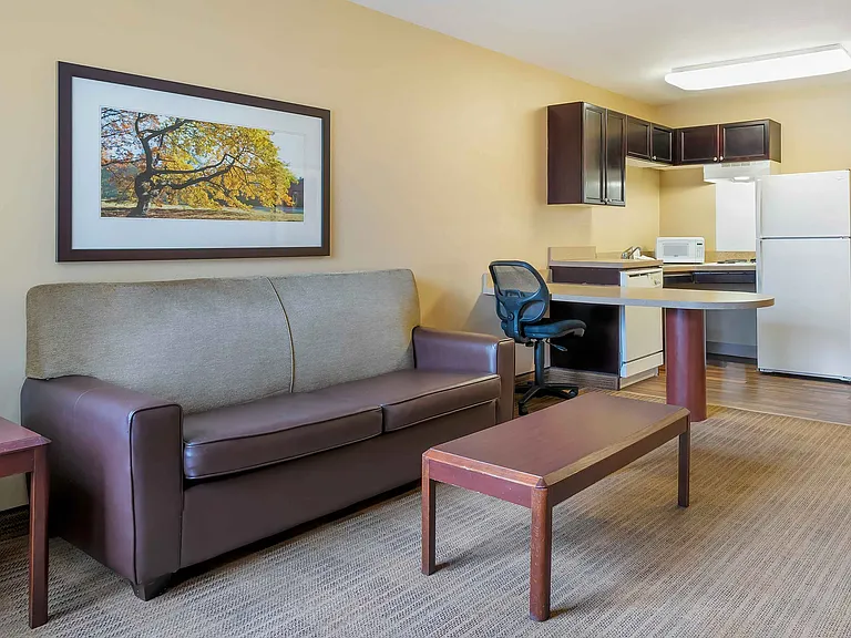 1 Bedroom Suite - 1 King Bed