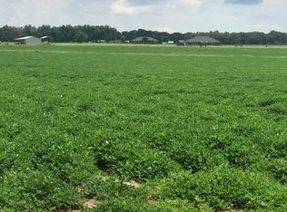 5499 Dawes Rd, Grand Bay, AL 36541