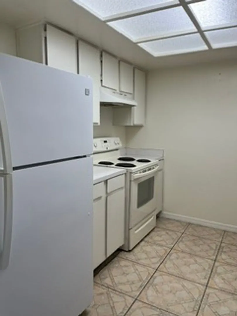 $500 Off First Months Rent! Tampa Racquet Club! — Photo 4