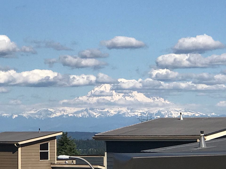 View from Rooftop Deck 