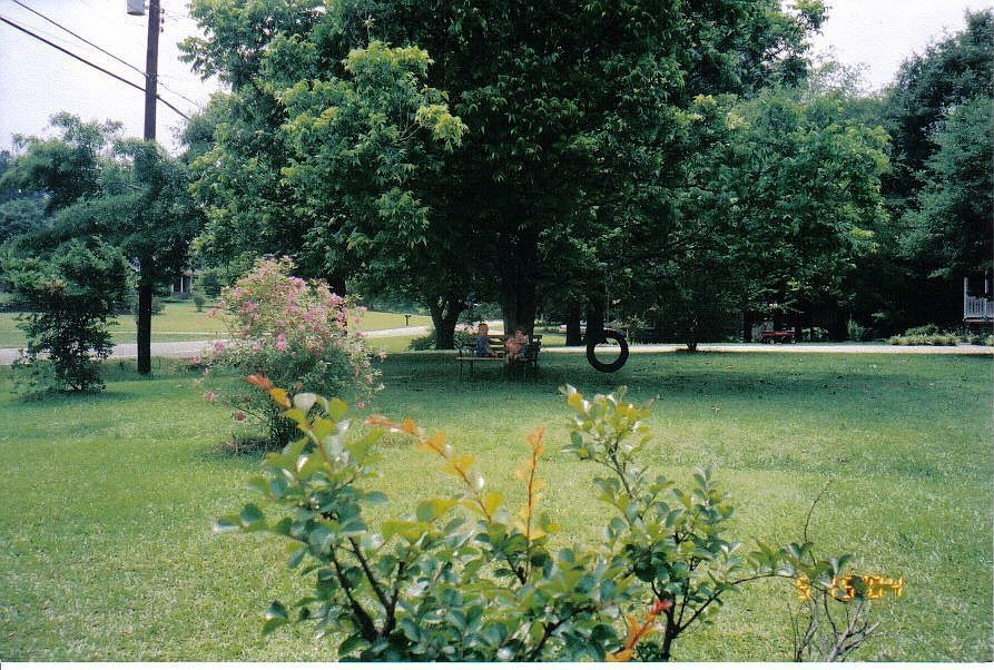 Partial view of front yard
