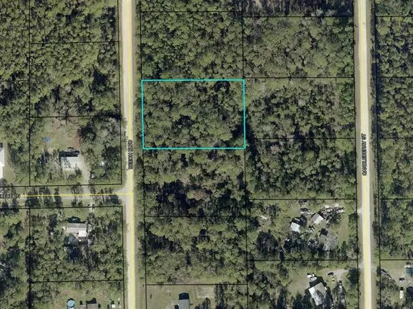 1689 BEECH BOULEVARD LOT 60, BUNNELL, FL 32110