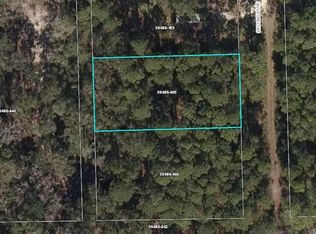 NE 2nd St, Steinhatchee, FL 32359