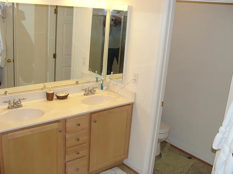 Master bath Double vanity w/ separate toilet