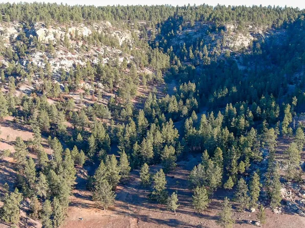 52 Buckskin Rd, Roundup, MT 59072