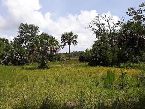 Marsh in background 