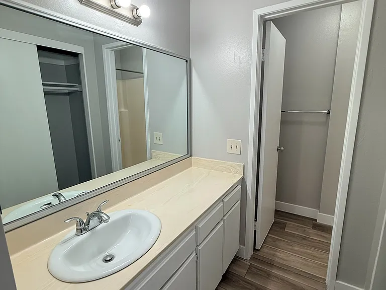 Master bathroom