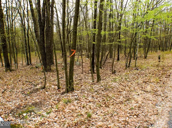 520 Hay Stack Dr, Zion Grove, PA 17985