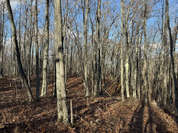 6505 Klein Rd, Hillman, MI 49746