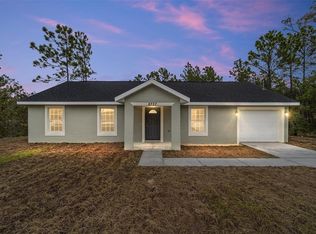 2176 SW 151st Ave, Ocala, FL 34481