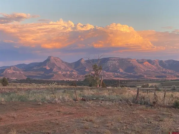 13780 Road 32.4, Mancos, CO 81328