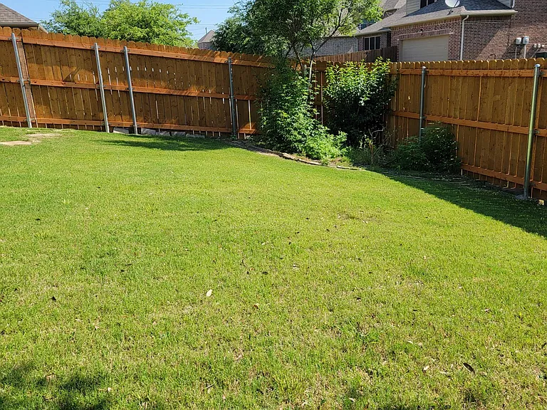 Back yard