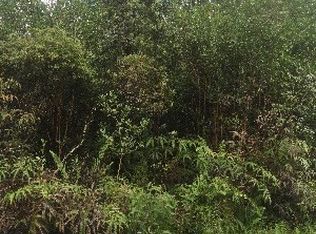 Road 6 Ooaa LOT 4452, Mountain View, HI 96771