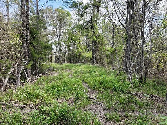 5th image of 144 County Road 219
