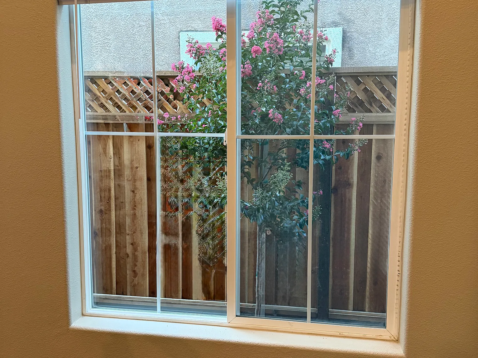 5 bed, 2294 sqft, $4,599 — Photo 4