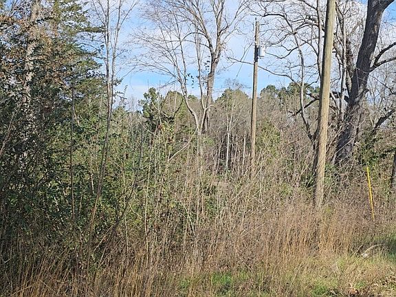 2nd image of 10484 County Road 384