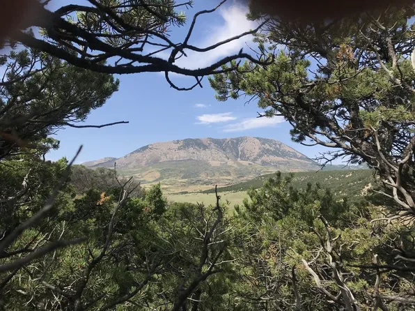 154 Colorado Land Grazing, Walsenburg, CO 81089