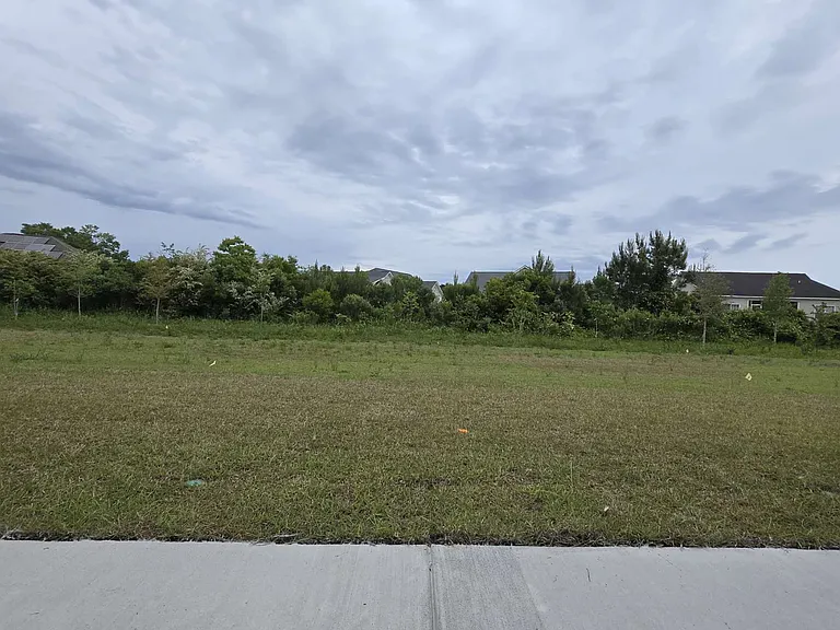 1310 Blueback Herring Way — Photo 21