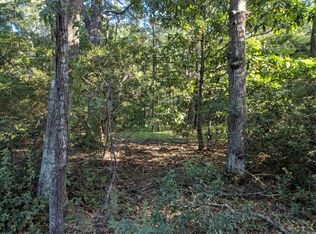 8541 Raccoon Island Rd, Edisto Island, SC 29438