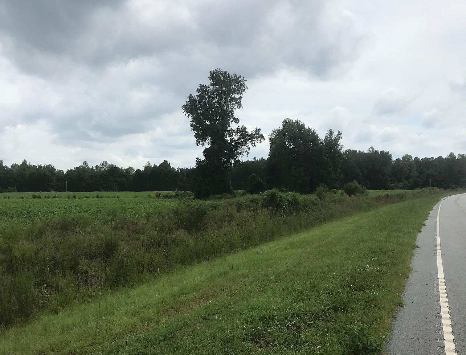 Pamplico Hwy, Pamplico, SC 29583 MLS 2121298 Zillow
