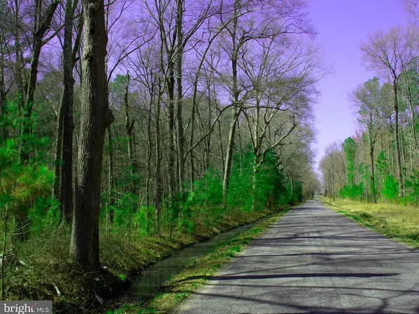 Woodstock Rd, King George, VA 22485