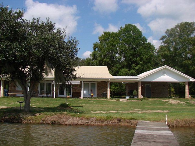 Back View
