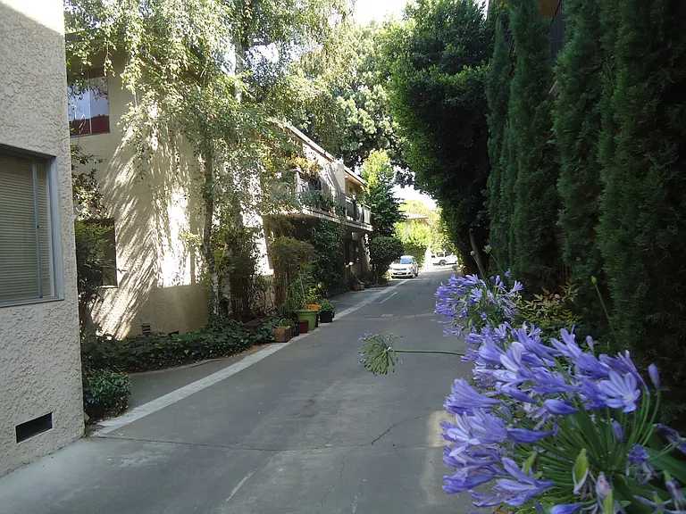 87 Glen Eyrie Ave — Photo 10