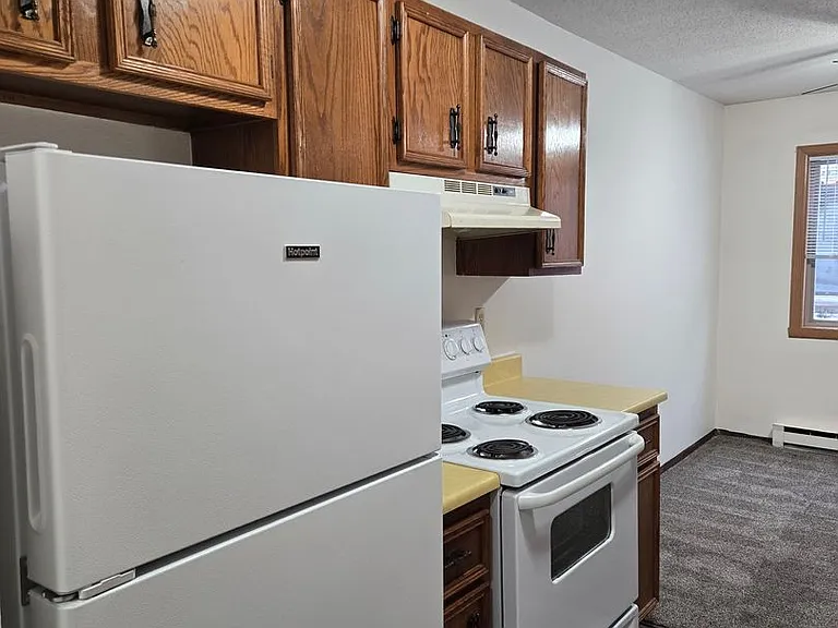 1408 Oak Manor Ave S — Photo 4