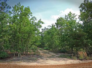 Webbs Pond Rd, Williston, SC 29853