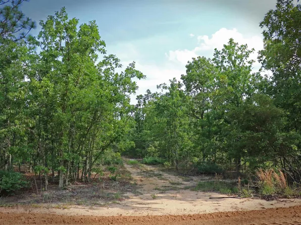 Webbs Pond Rd, Williston, SC 29853