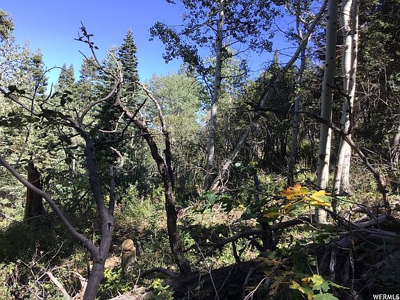 4th image of 741 W Forgotten Ln N
