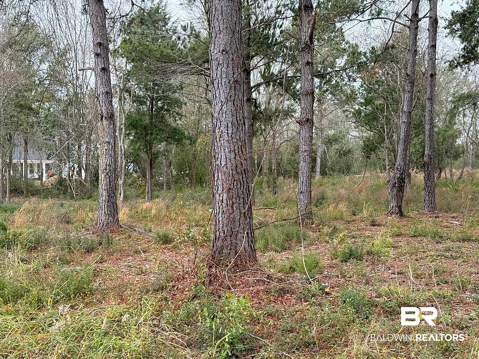 1st image of 0 Old Brady Rd