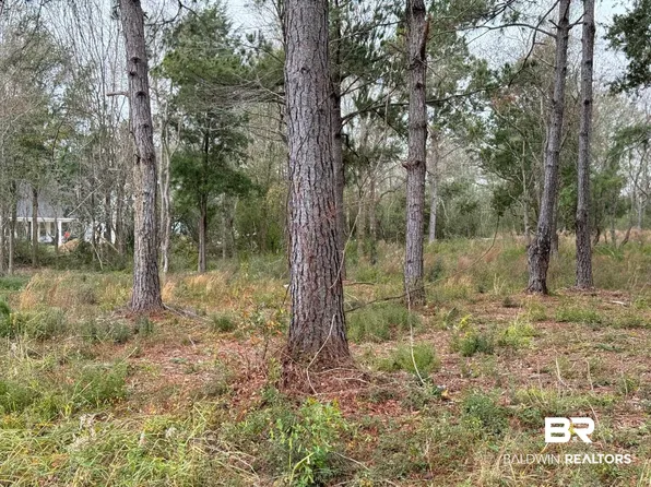 0 Old Brady Rd, Loxley, AL 36551