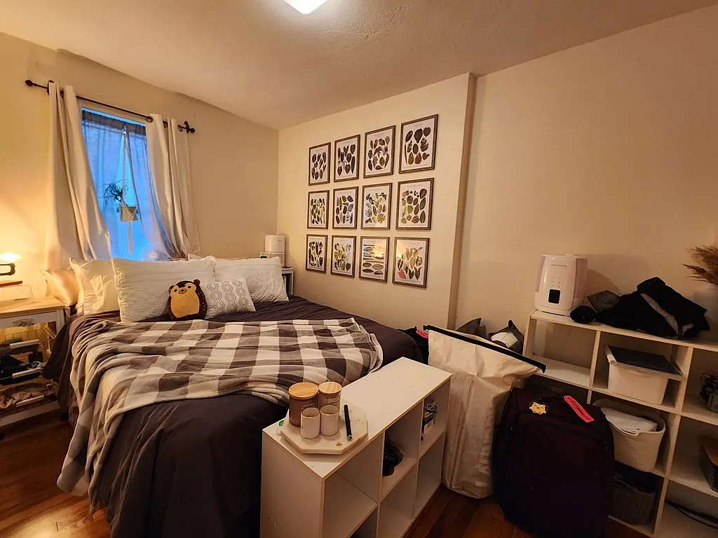 1 bed, 415 sqft, $2,700 — Photo 3