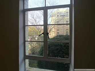 Rented by Sovereign Associates