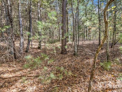 99999 Sharon Rd, Fairview, NC, 28730