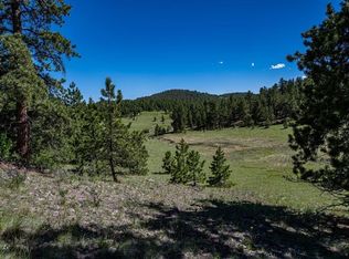 2099 Julia Rd, Guffey, CO 80820