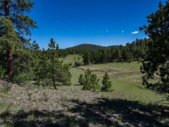 2099 Julia Rd, Guffey, CO 80820