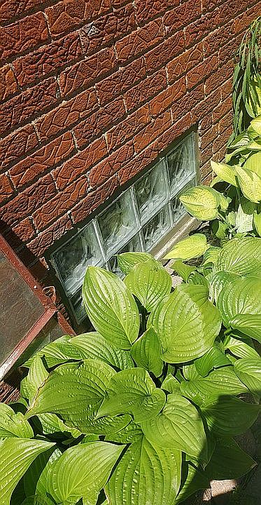 Glass block basement windows