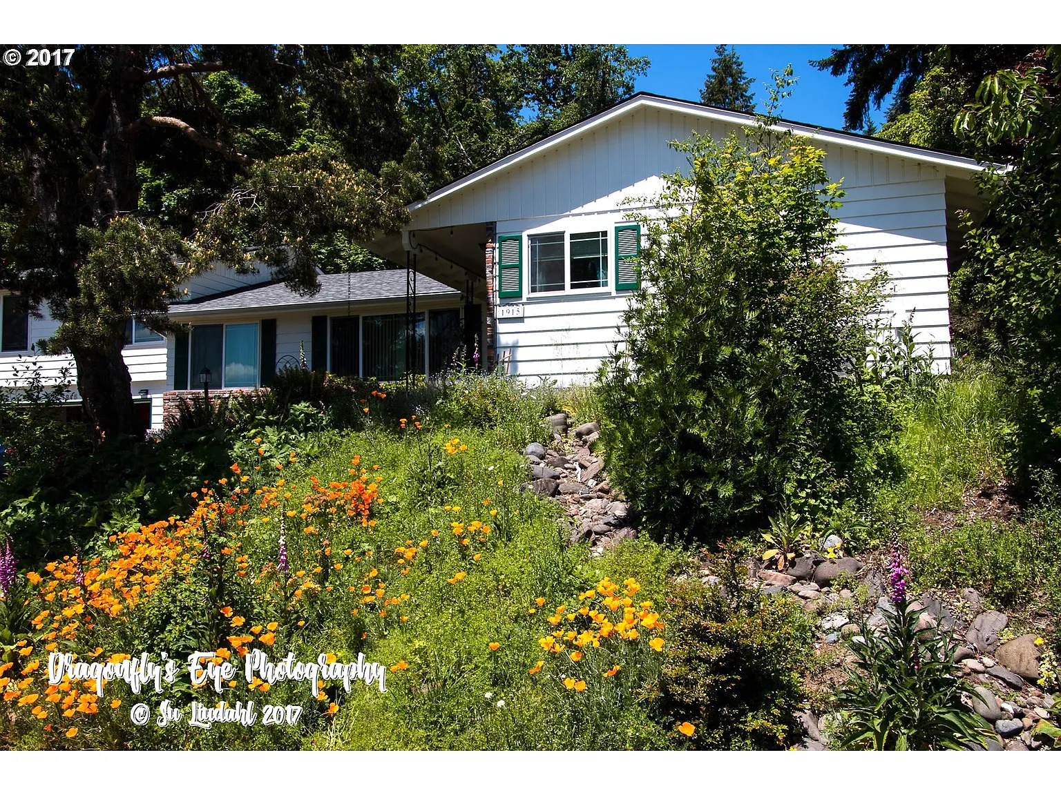 1915 Tigertail Rd photo 1