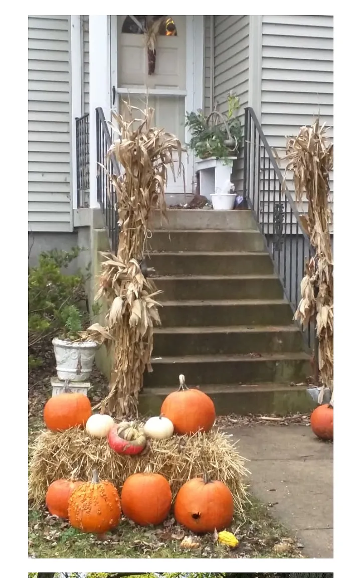 1 bed, $1,000 — Photo 1