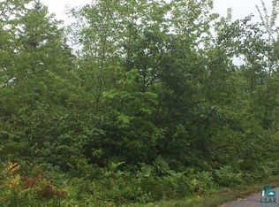 51020 W Idlewild Lake Rd, Barnes, WI 54873