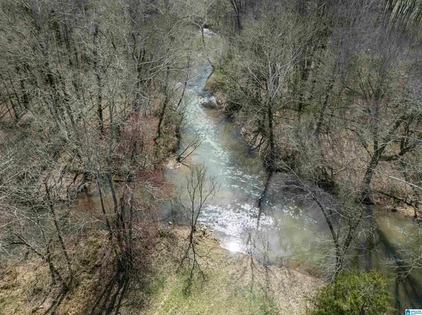 County Road 1021 Lot 42, Piedmont, AL 36272