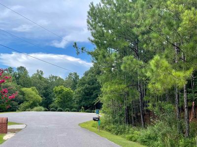 303 Baron Dr #14, Chelsea, AL, 35043
