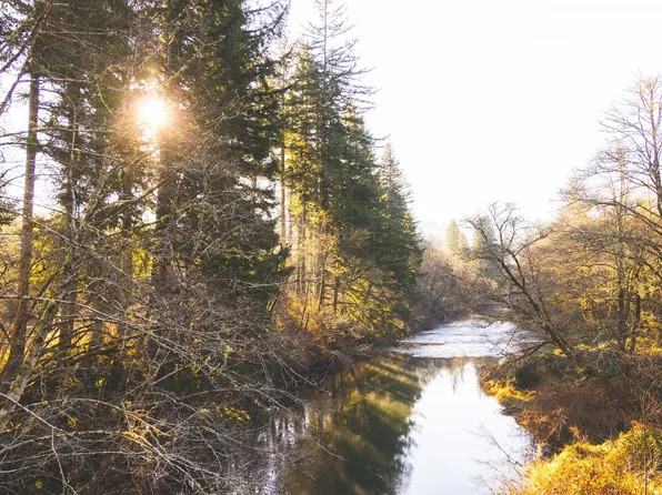 Trapp Creek Rd, Toledo, OR 97391