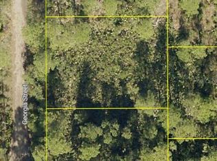 Georgia St, Paisley, FL 32767